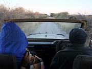 BOTSWANA Roberto e Lidia - 009